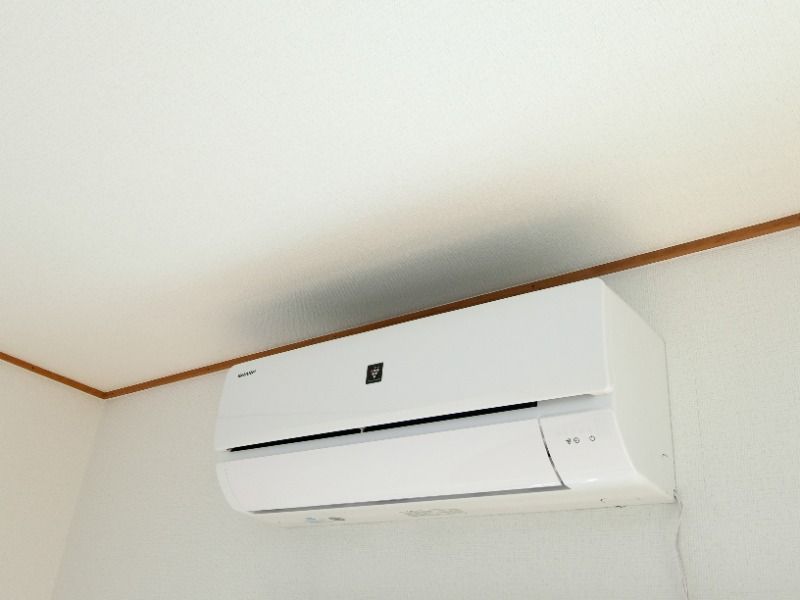 �y���̑��ݔ��z�@���^�C�v