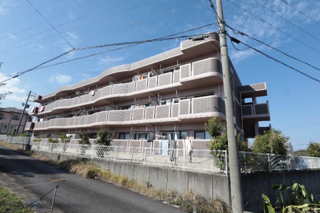ラフィネタウン丸山東の外観