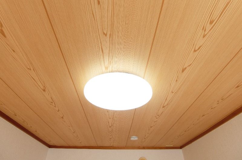 �y���̑��ݔ��z�@�����Ɩ�