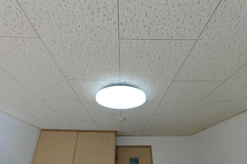 �y���̑��ݔ��z�@�����Ɩ�