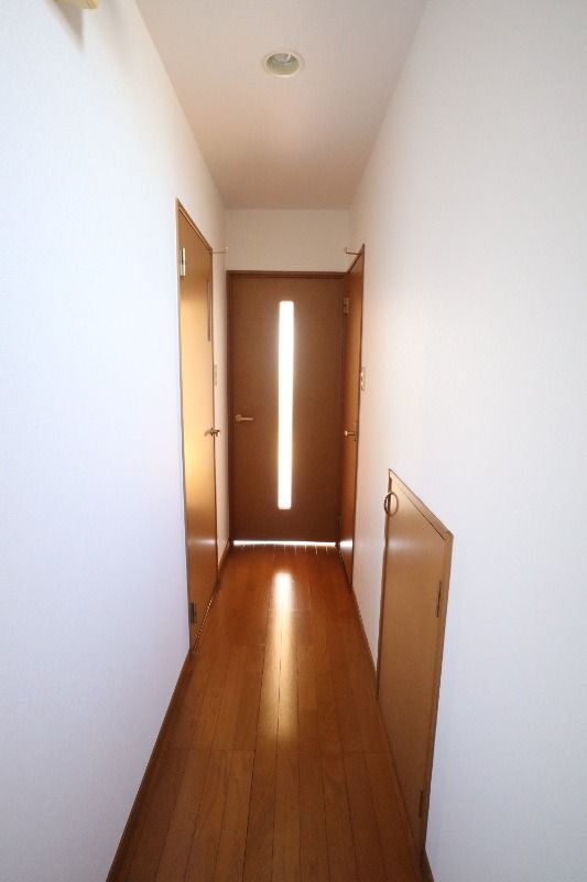 �y���̑��z�@�L��