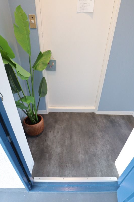 �y���ցz�@���f�����[��