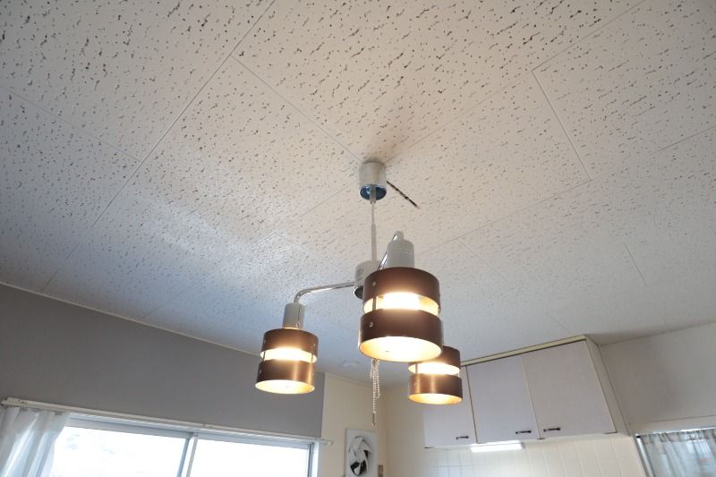 �y���̑��ݔ��z�@���f�����[���E�����Ɩ�