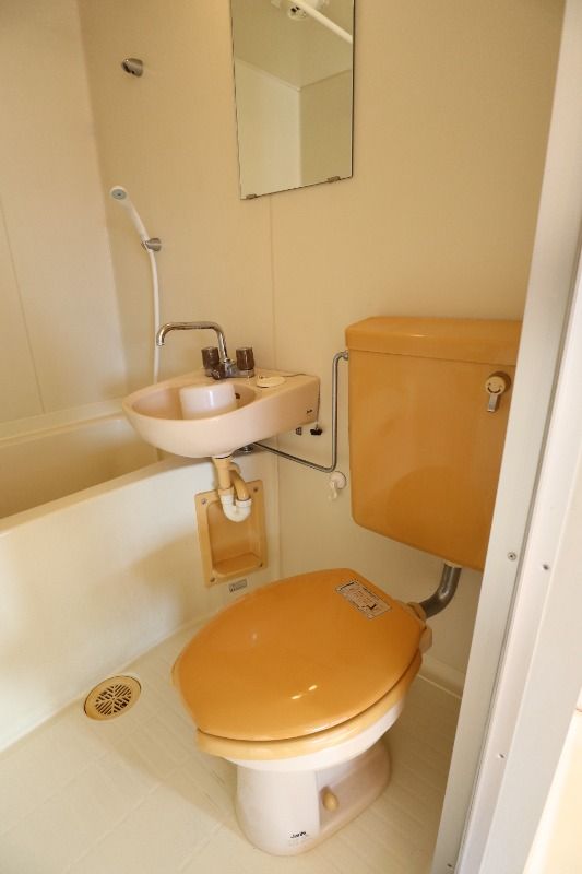 �y�g�C���z�@���^�C�v