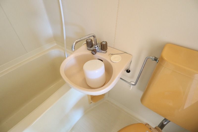 �y���ʏ��z�@���^�C�v