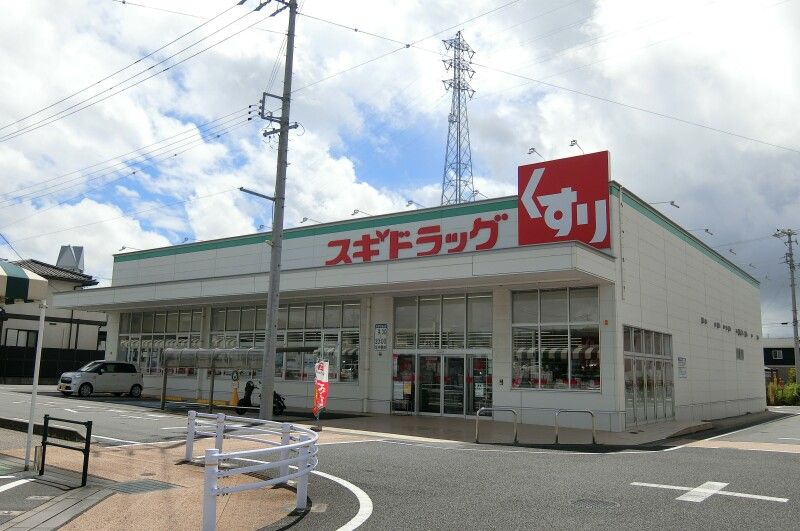 �y���Ӂz�@�X�M�h���b�O�t�B�[���K�c�X