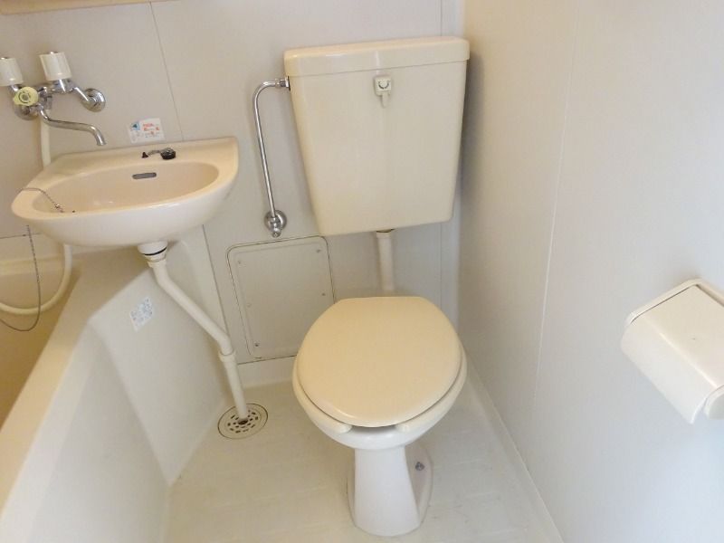 �y�g�C���z�@