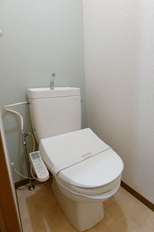 �y�g�C���z�@