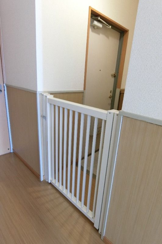 �y���̑��z�@