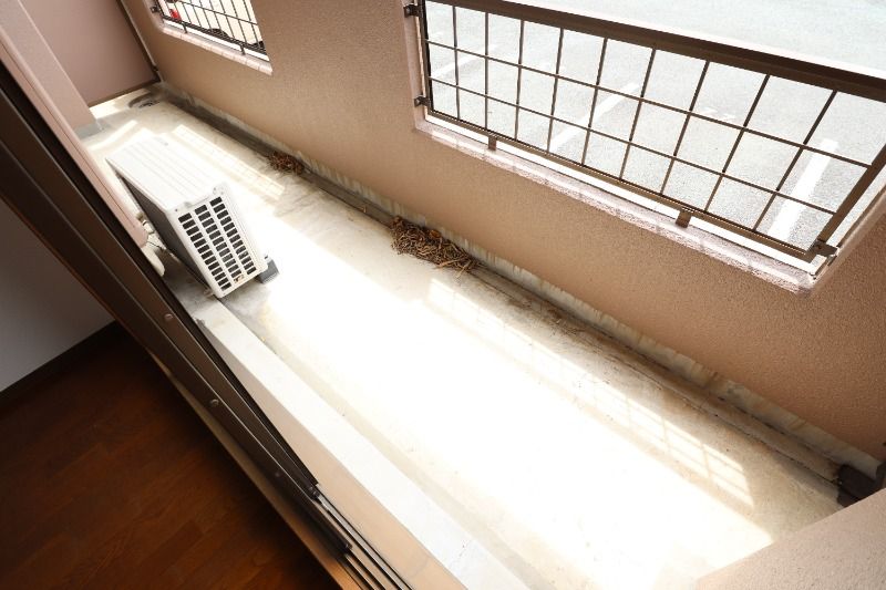 �y�o���R�j�[�z�@