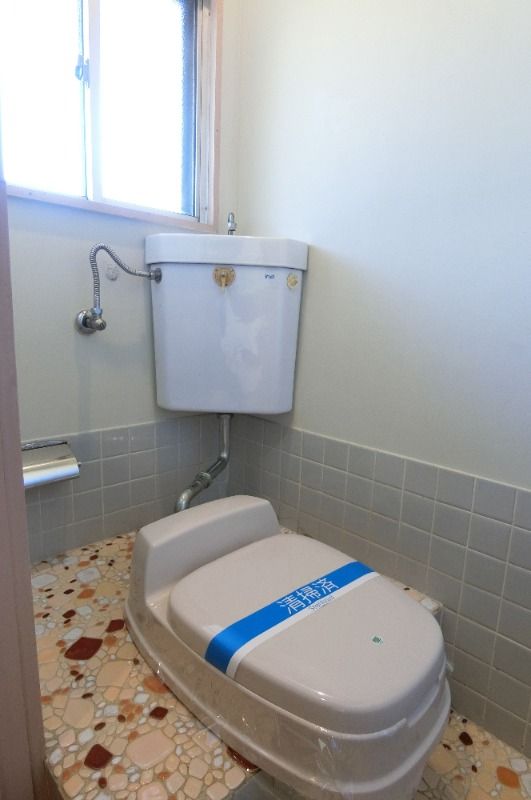 �y�g�C���z�@