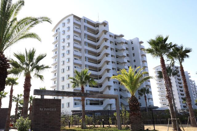 ���E�����J�[�TIII�̌����O��