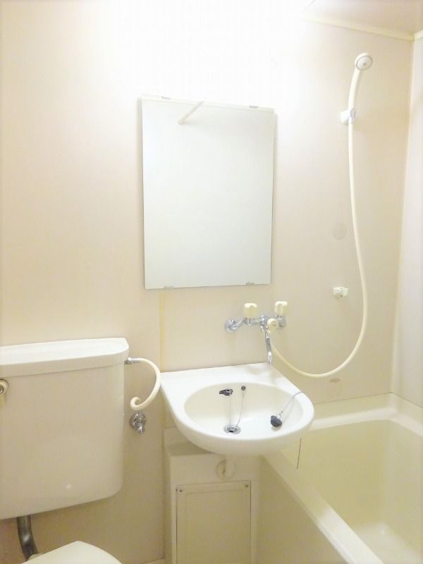 �y���ʏ��z�@���^�C�v