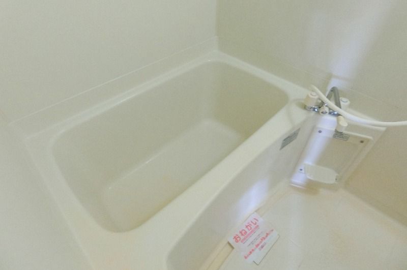 �y�o�X�z�@