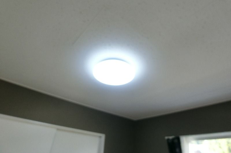 �y���̑��ݔ��z�@���f�����[���@�����Ɩ�