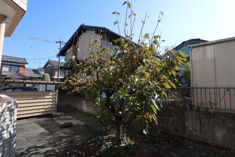 �y���̑��z�@