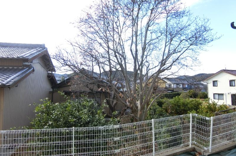 �y���̑��z�@