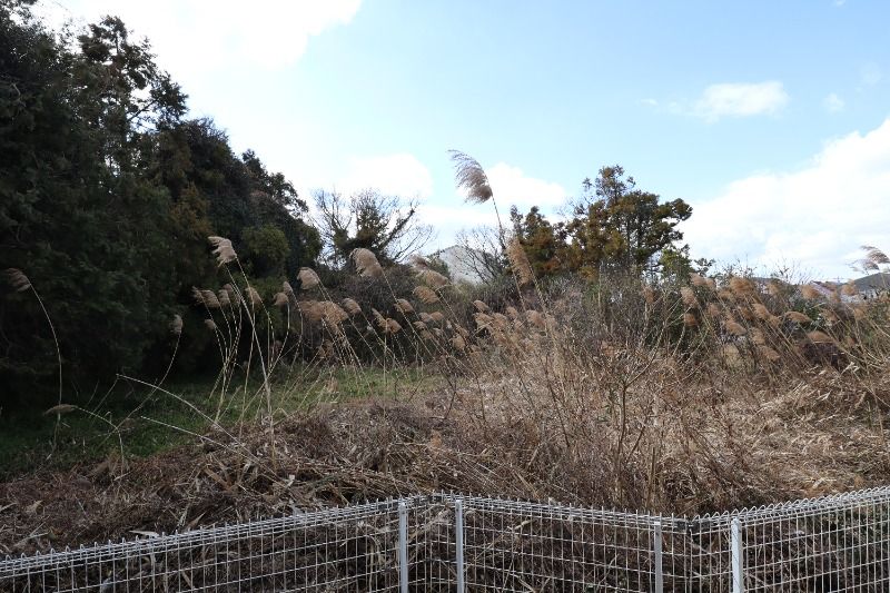 �y���̑��z�@