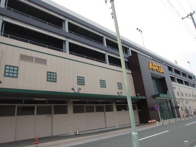 �y���Ӂz�@�A�s�^���S�X