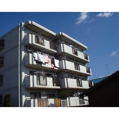 �n�C�c�V�����̌����O��