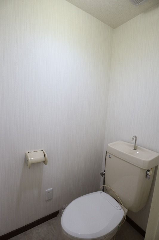 �y�g�C���z�@