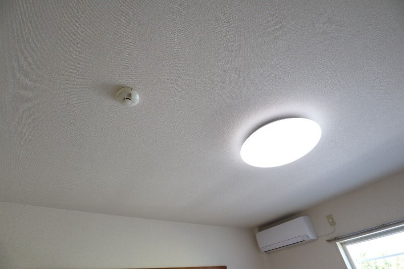 �y���̑��ݔ��z�@�����Ɩ�