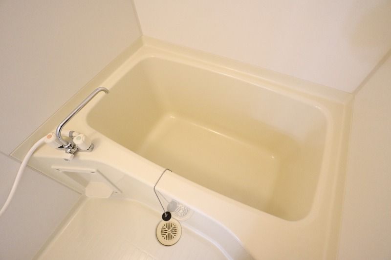 �y�o�X�z�@