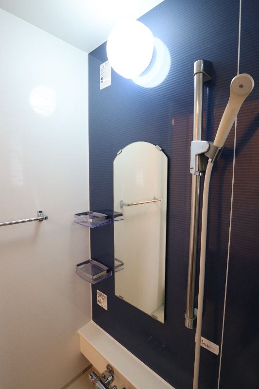 �y�o�X�z�@���^�C�v�@