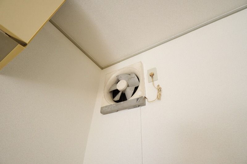 �y�L�b�`���z�@�L�b�`�����C��