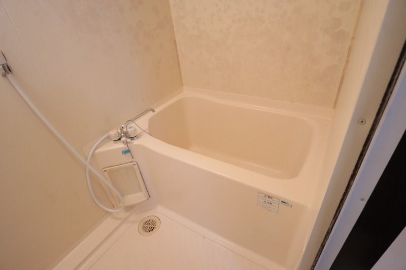 �y�o�X�z�@���^�C�v�@