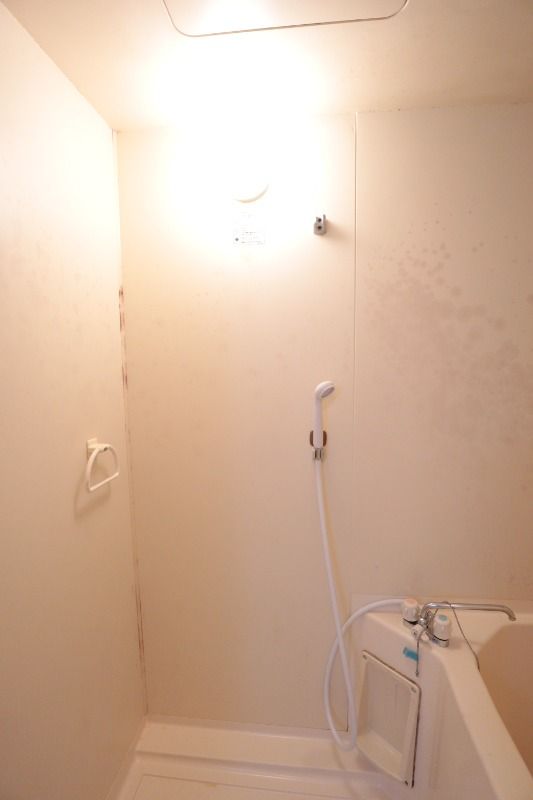 �y�o�X�z�@���^�C�v�@