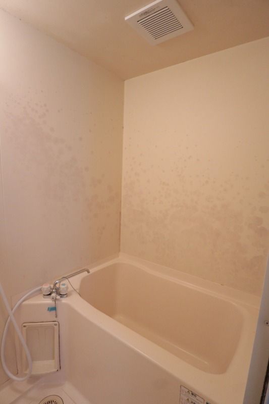 �y�o�X�z�@���^�C�v�@