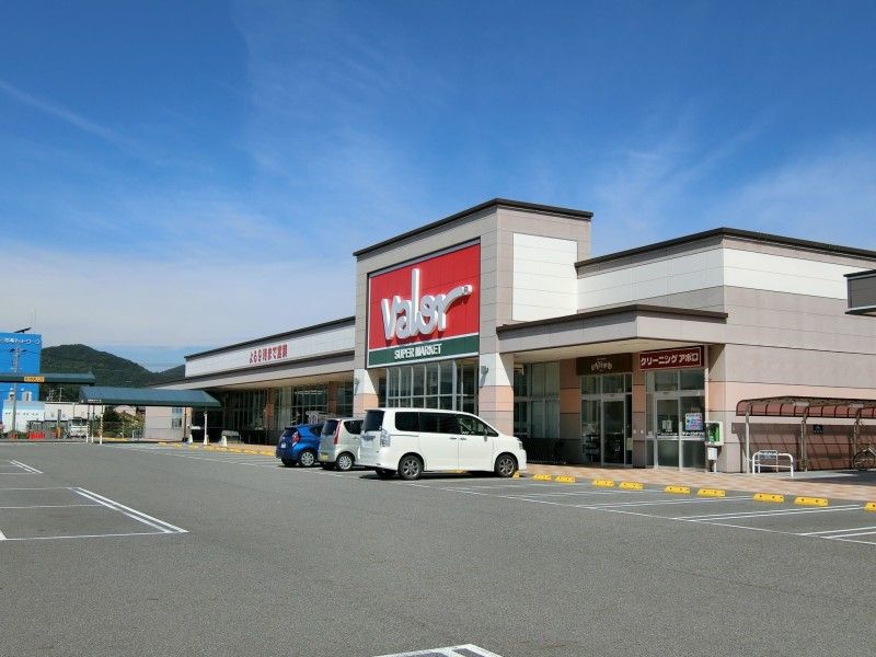 �y���Ӂz�@�o���[���S�X