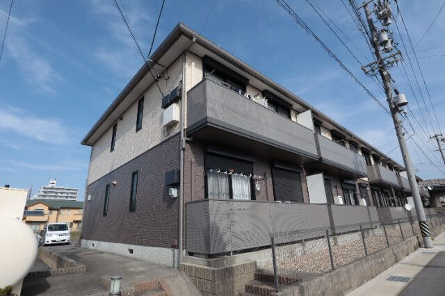 �V���[���]���ёqA�̌����O��