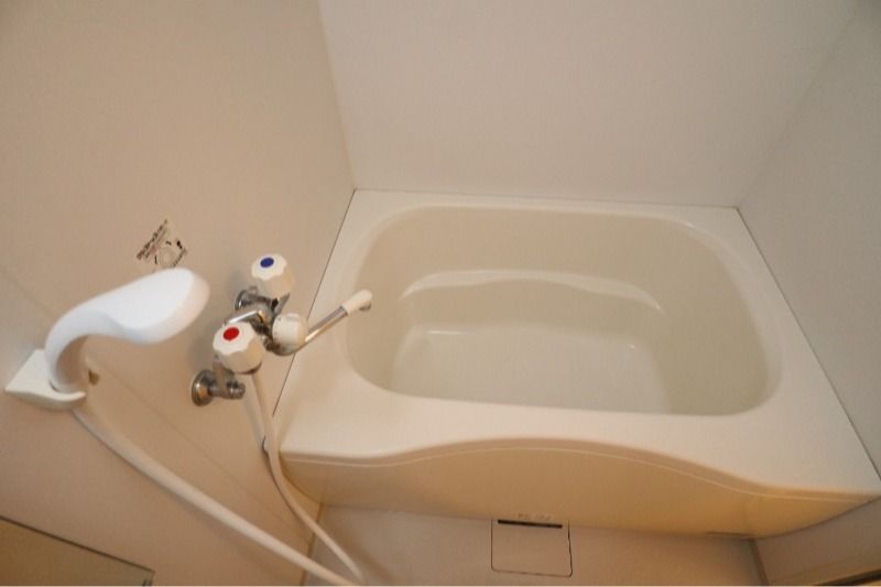 �y�o�X�z�@