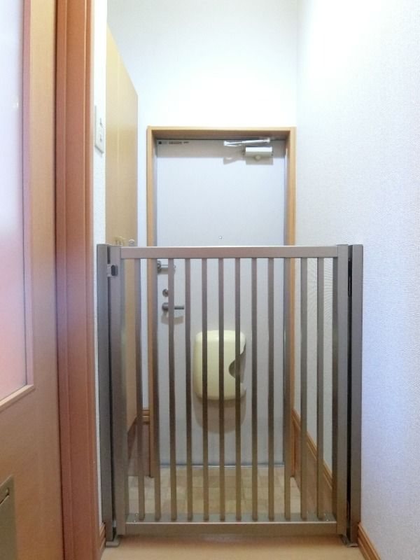 �y���ցz�@