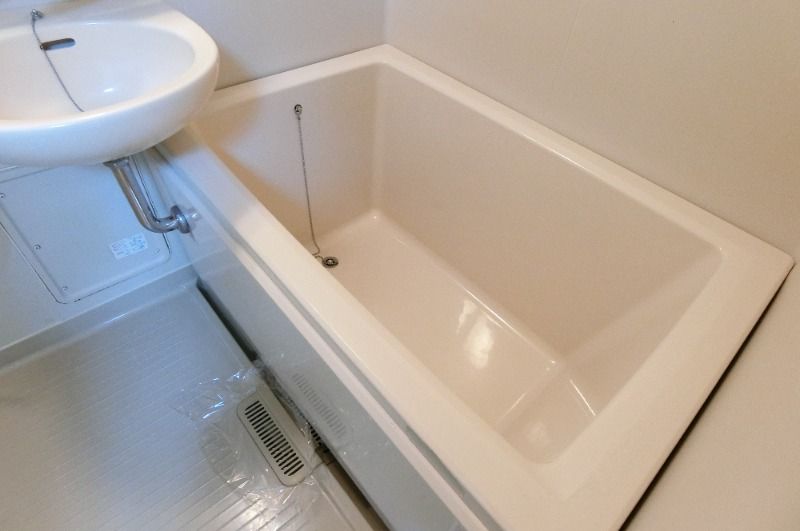 �y�o�X�z�@