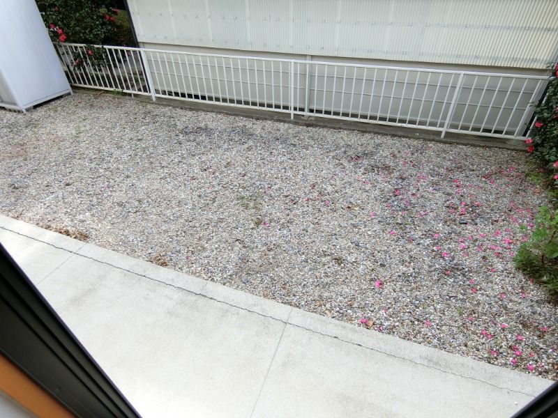 �y�o���R�j�[�z�@