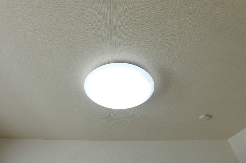 �y���̑��ݔ��z�@�S���Ɩ��t��