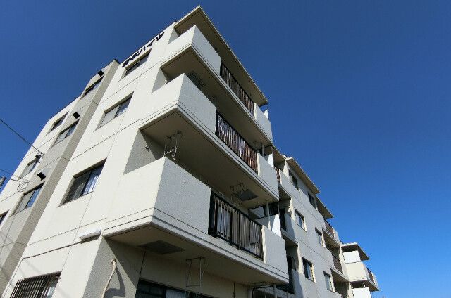 �g���n�C�c�̌����O��