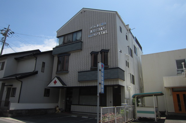 平岩動物病院 愛知県蒲郡市旭町３ １４ ミニミニfc蒲郡店 丸七住宅株式会社